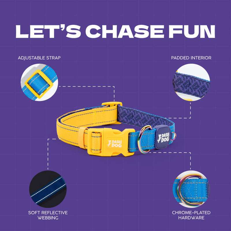 Dash Dog Padded Collar For Dog - Royal Blue & Yellow