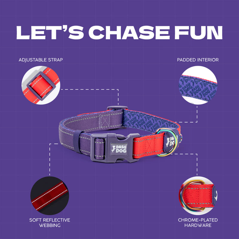 Dash Dog Padded Collar For Dog - Red & Purple