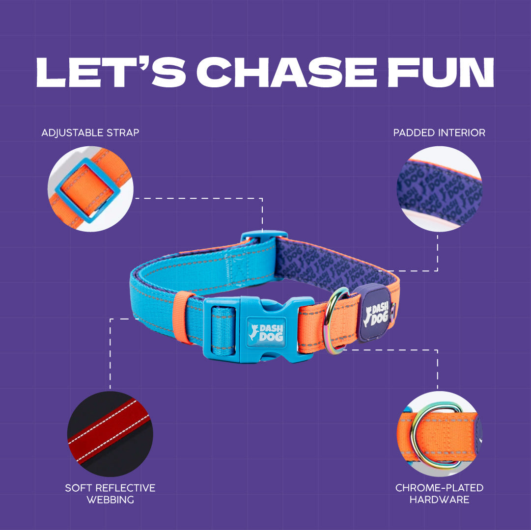 Dash Dog Padded Collar For Dog - Blue & Orange
