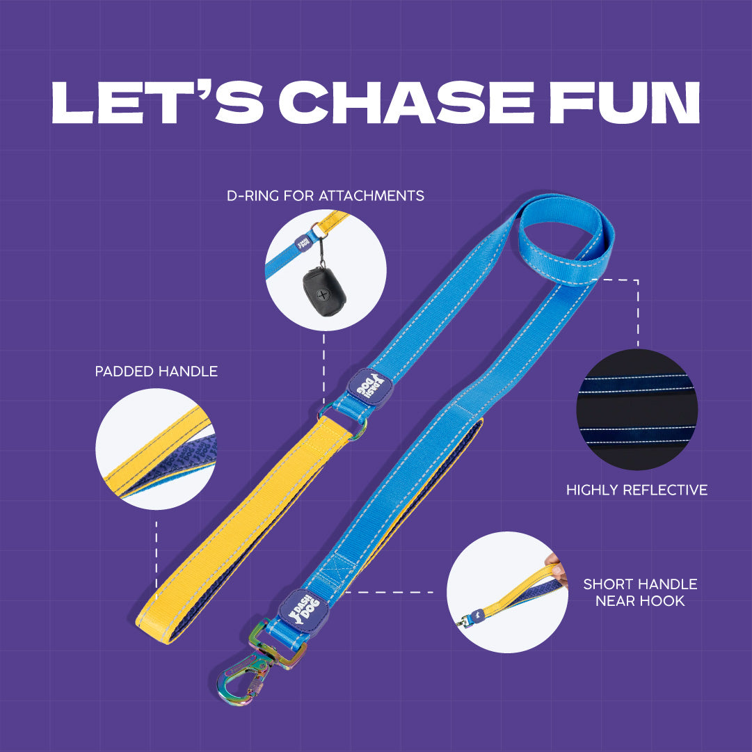 Dash Dog Dual Handle Leash For Dog - Royal Blue & Yellow