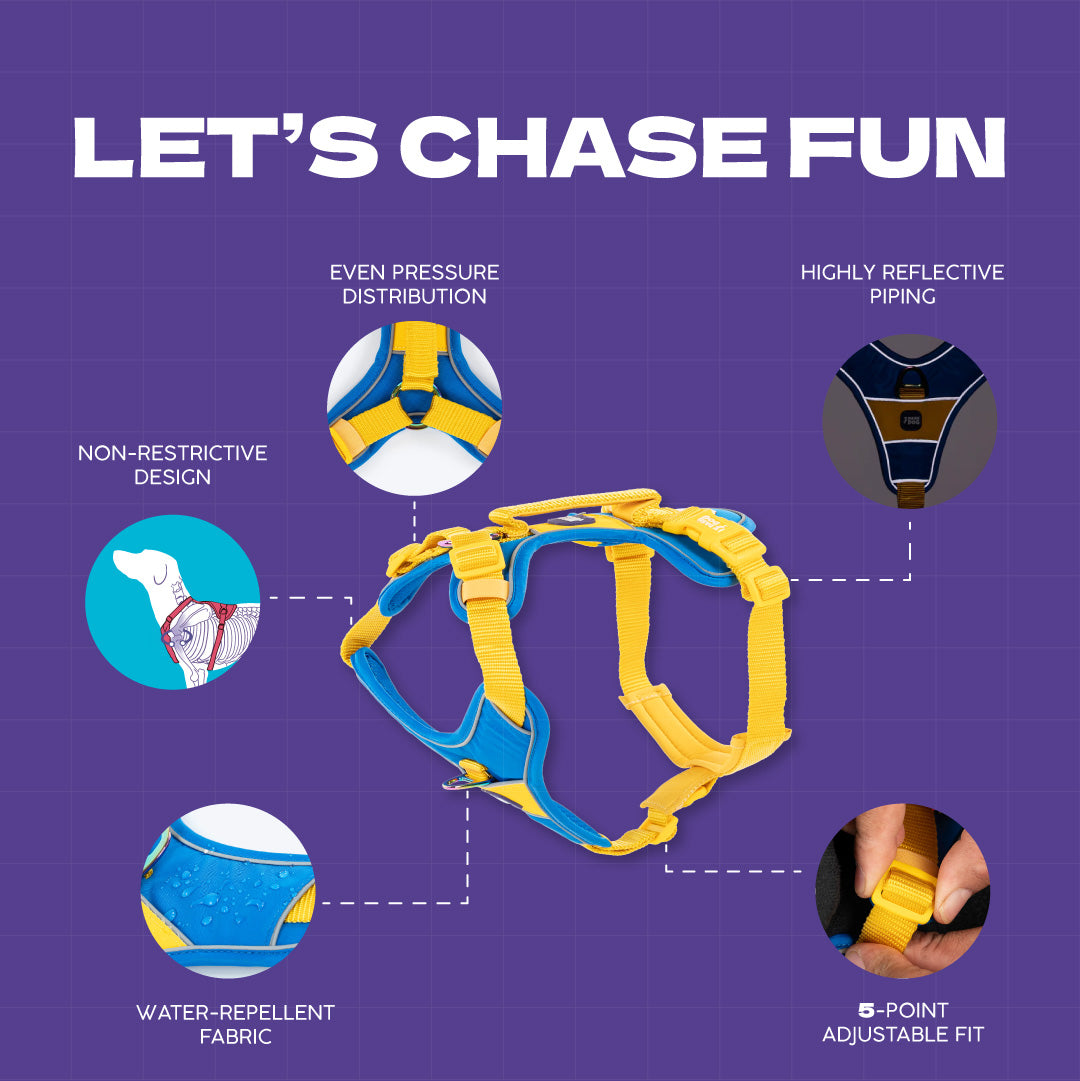 Dash Dog Walk Pro Harness For Dog - Royal Blue & Yellow