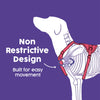 Dash Dog Walk Pro Harness For Dog - Red & Purple