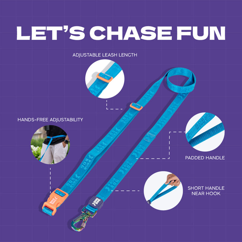 Dash Dog Trailmate Multipurpose Leash For Dog - Blue
