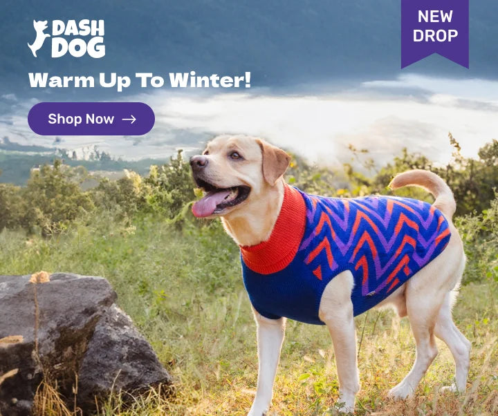 Heads Up For Tails Online Pet Store for Pet Supplies Products