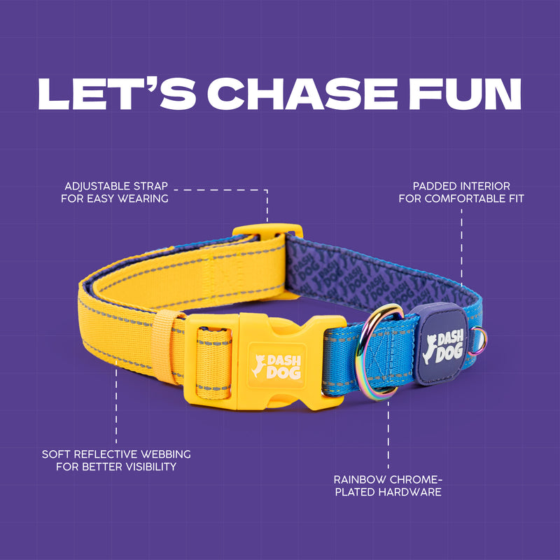 Dash Dog Padded Collar For Dog - Royal Blue & Yellow