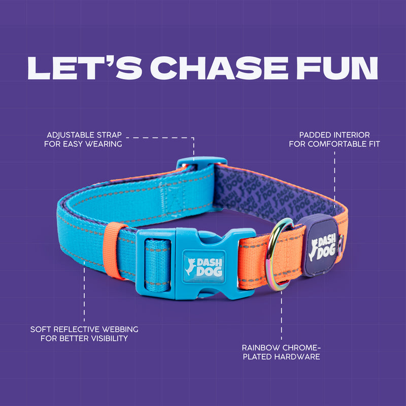 Dash Dog Padded Collar For Dog - Blue & Orange