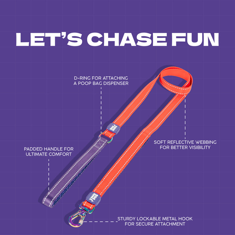 Dash Dog Dual Handle Leash For Dog - Red & Purple