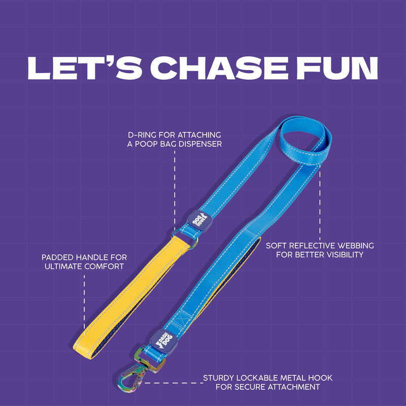 Dash Dog Dual Handle Leash For Dog - Royal Blue & Yellow