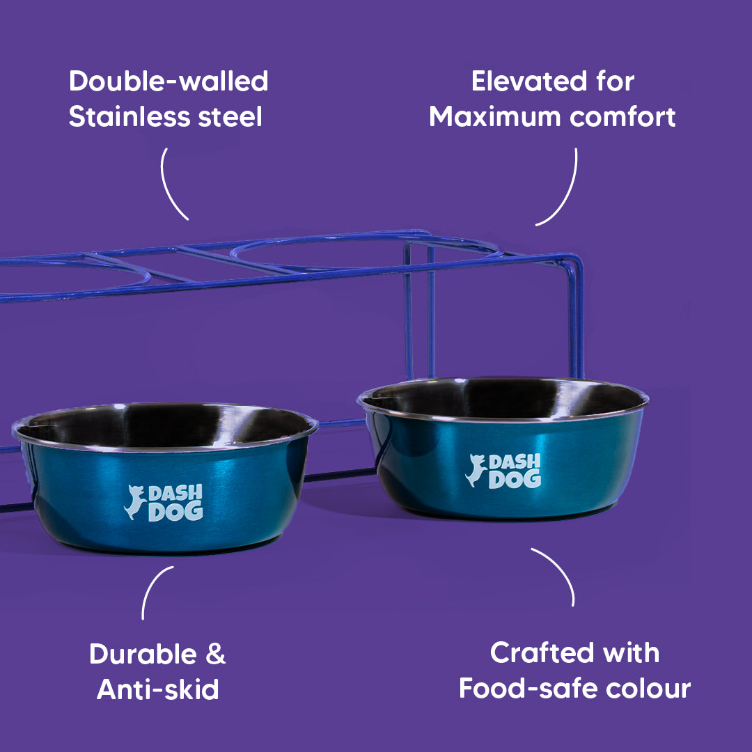 Dash Dog Rainbow Rush Elevated Double Diner With Steel Bowl Inserts For Dog - Violet