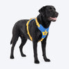 Dash Dog Walk Pro Harness For Dog - Royal Blue & Yellow