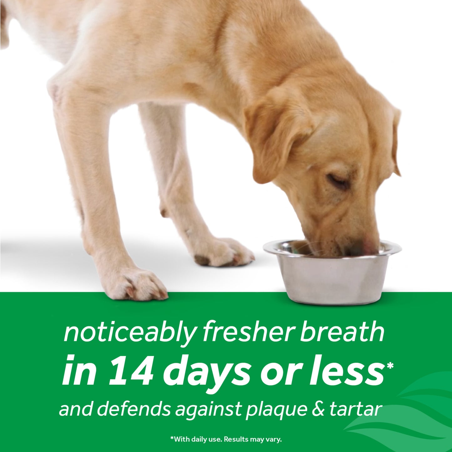 Tropiclean Fresh Breath Water Additive for Dogs - Fresh Breath - 473 ml - Heads Up For Tails