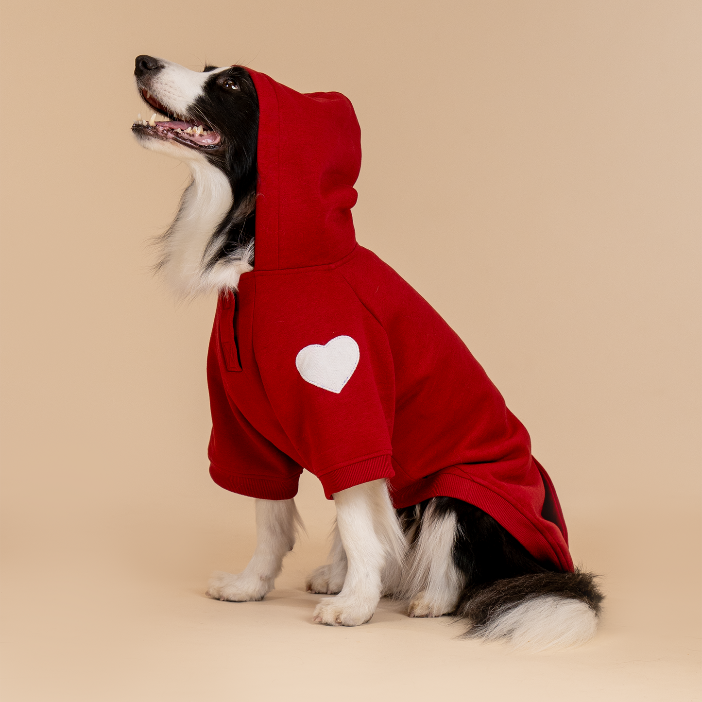 HUFT Cherry Sweet Sweatshirt With Hood For Big Dog - Red - Heads Up For Tails