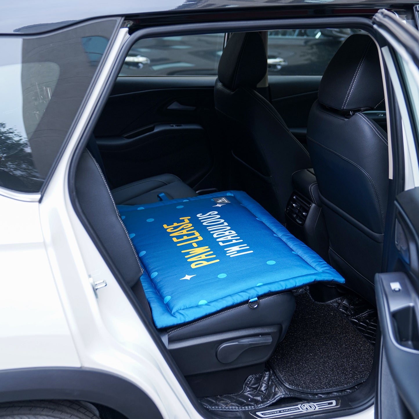 HUFT Pawlease I'm Fabulous Mat For Dog - Teal Blue