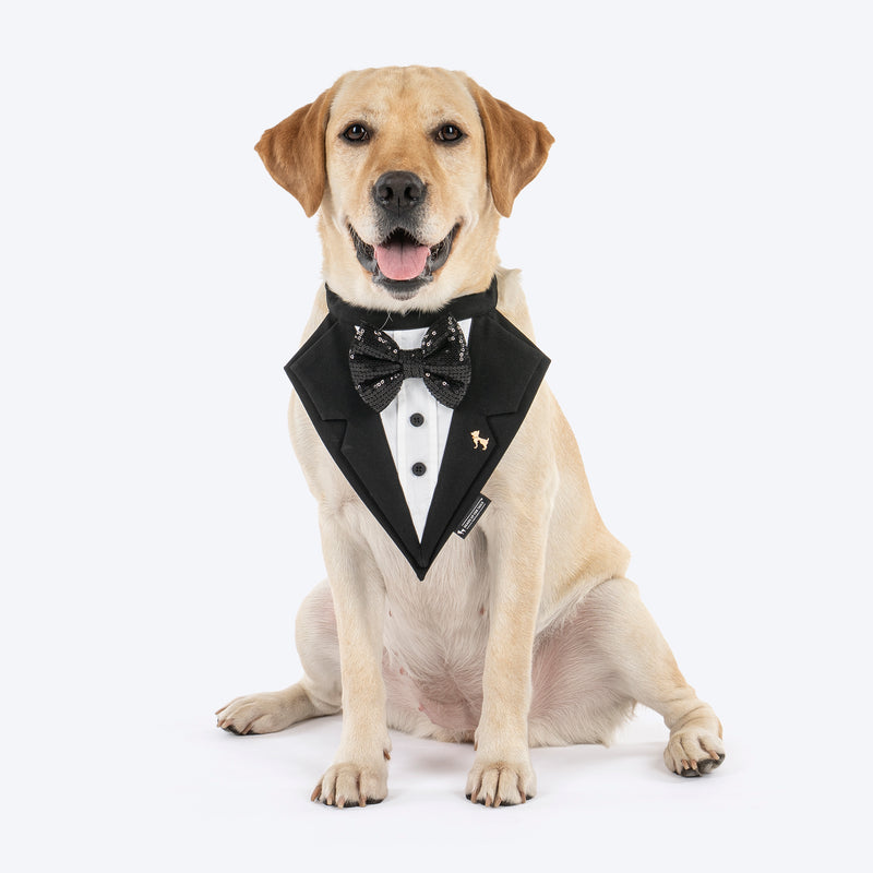 HUFT Casino Royale Tuxedo Bandana For Dog - Black - Heads Up For Tails