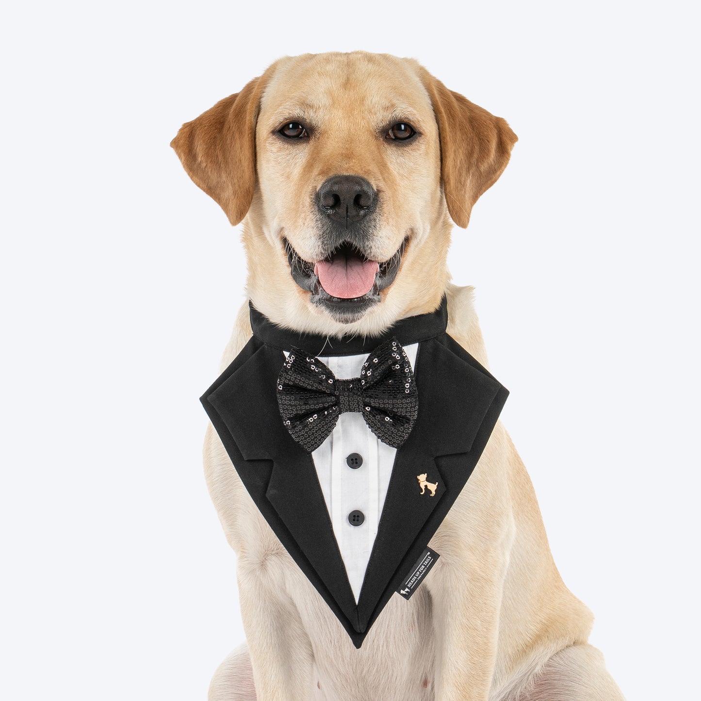 HUFT Casino Royale Tuxedo Bandana For Dog - Black