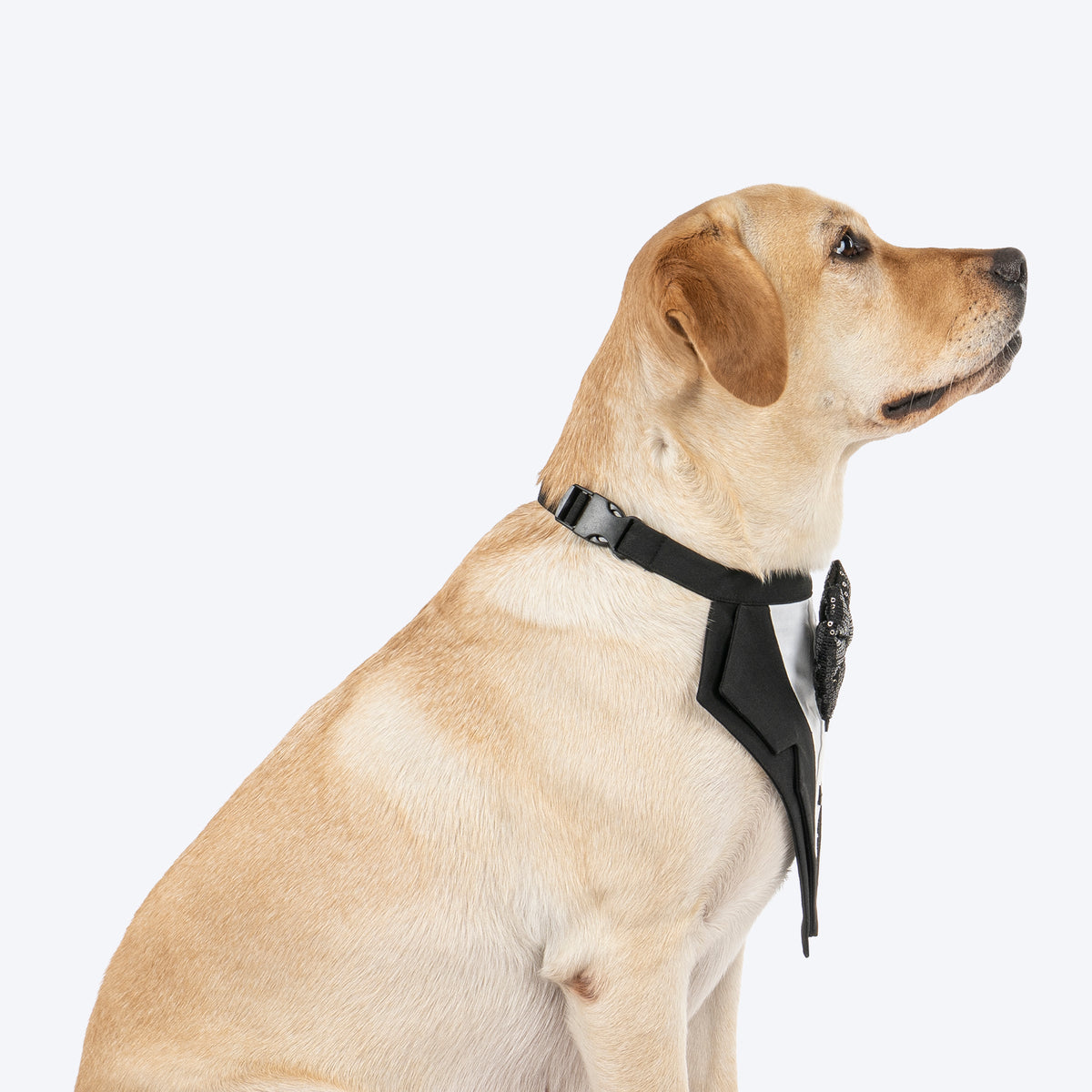 HUFT Casino Royale Tuxedo Bandana For Dog - Black - Heads Up For Tails