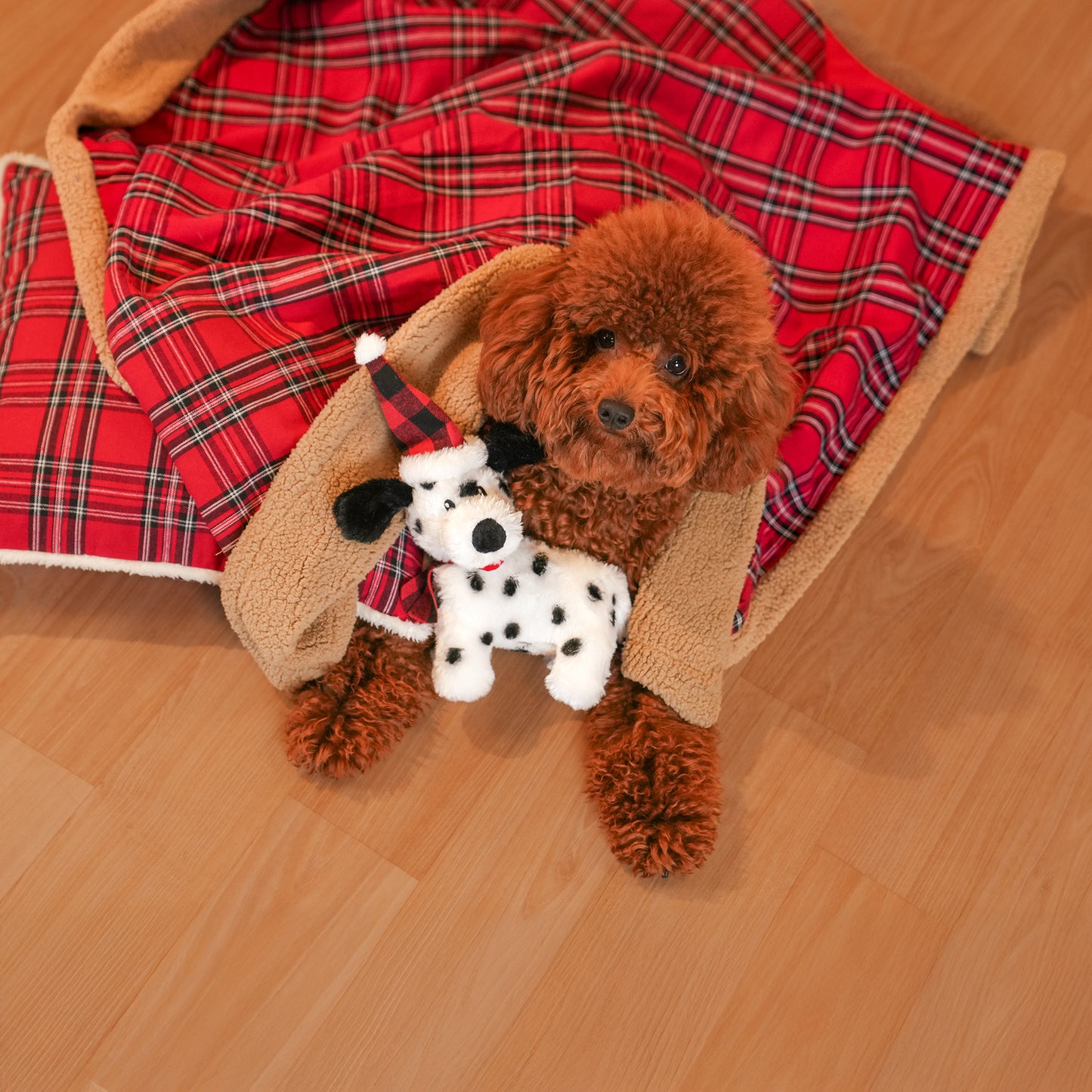 HUFT Dotted Doggo Plush Toy For Dog - White & Black