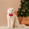 HUFT Winterberry Bow Tie With Straps For Cat - Red & Black - Heads Up For Tails