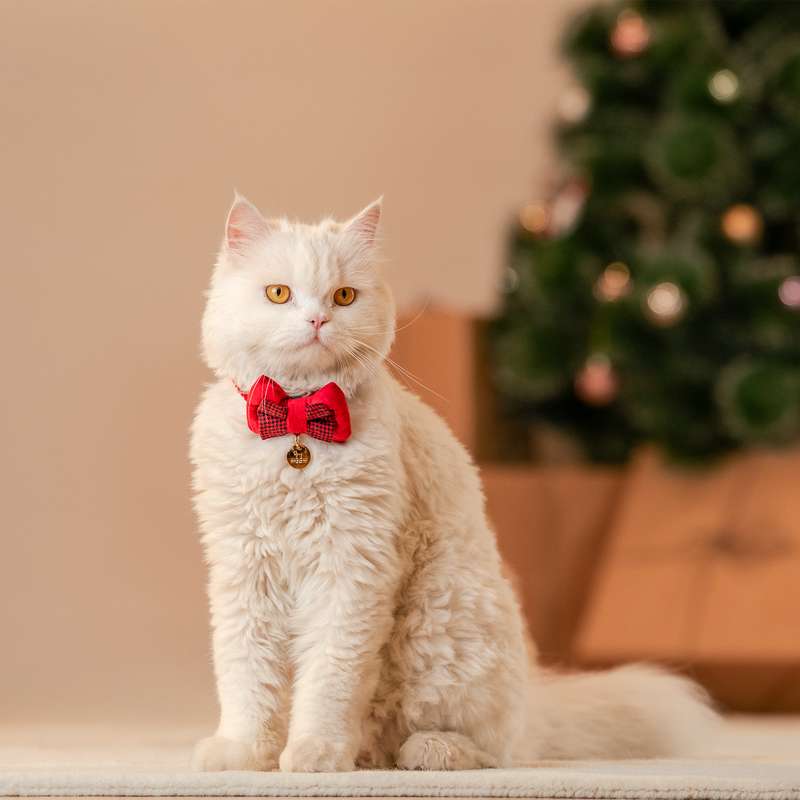 HUFT Winterberry Bow Tie With Straps For Cat - Red & Black - Heads Up For Tails