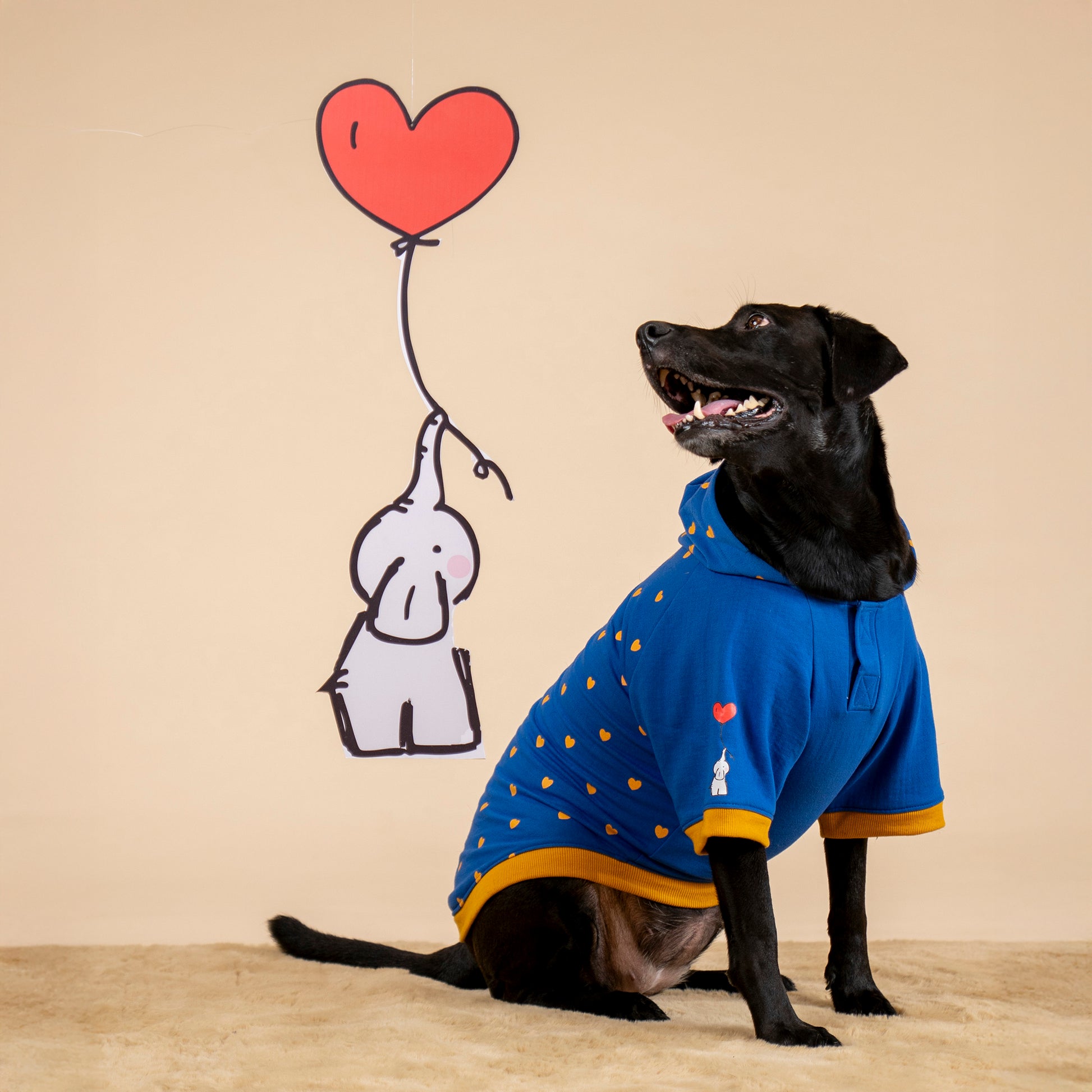 HUFT Honey Hearts Sweatshirt With Hood For Dog - Blue - Heads Up For Tails
