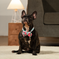 HUFT Pawsome Blossom Bow Tie With Collar For Dog - Green & Pink