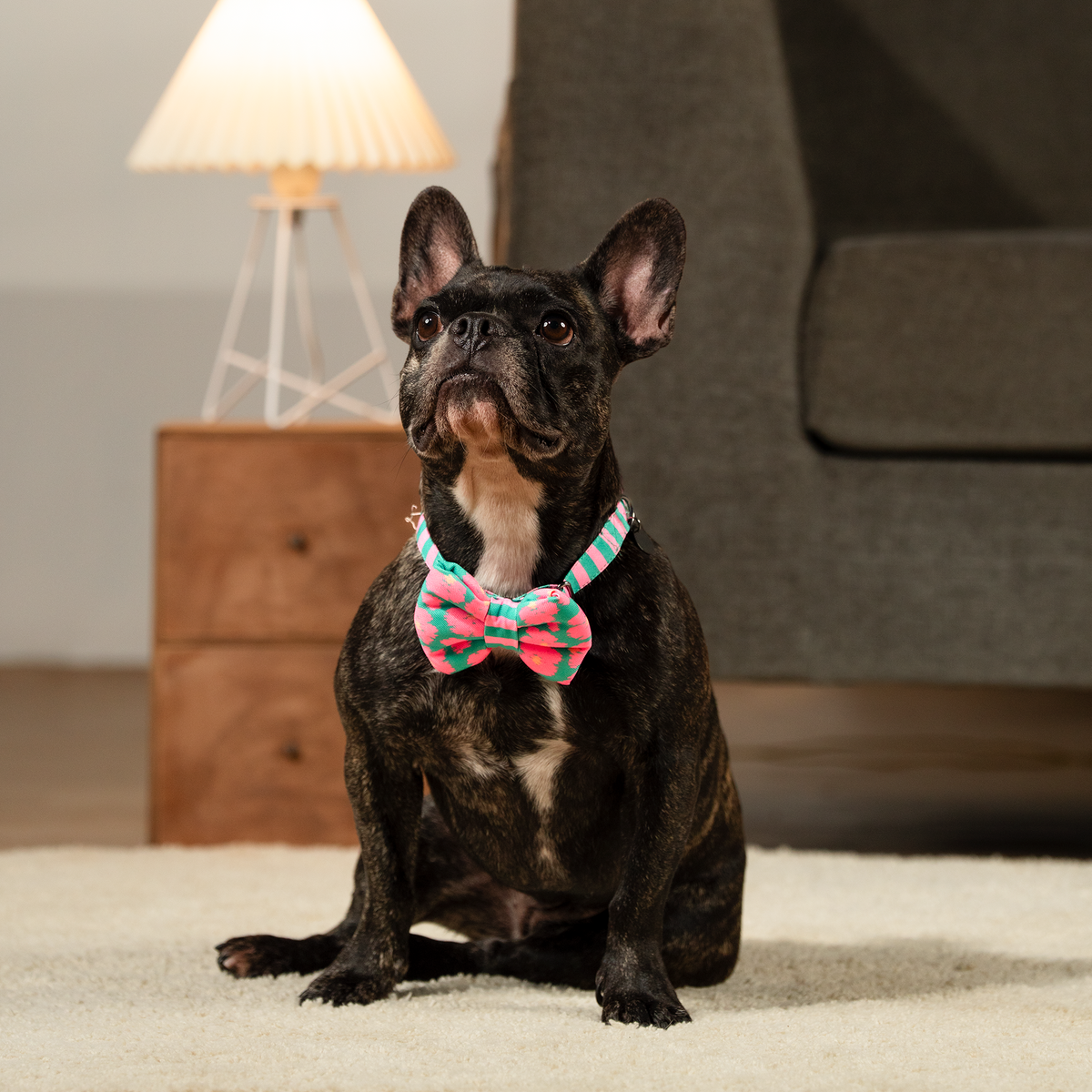HUFT Pawsome Blossom Bow Tie With Collar For Dog - Green & Pink - Heads Up For Tails