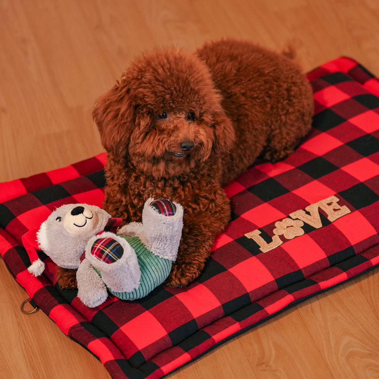 HUFT Beary Merry Plush Toy For Dog - White & Green