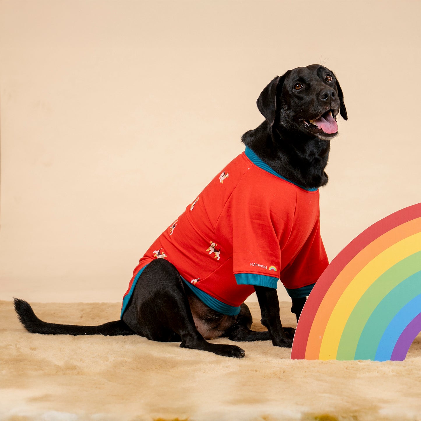 HUFT Pup Parade Sweatshirt For Big Dog - Red - Heads Up For Tails