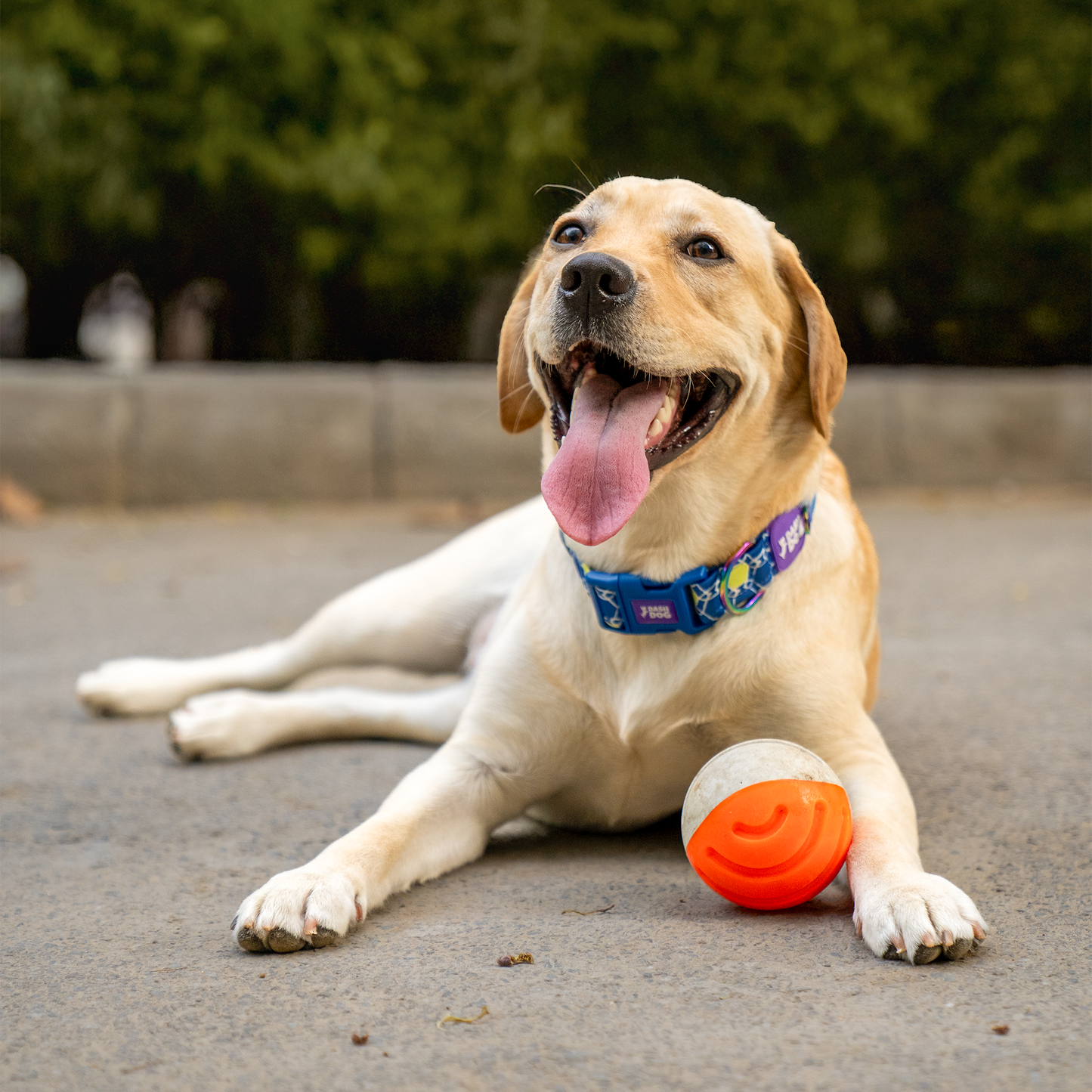 Dash Dog Double Trouble Ball For Dog - Orange & Grey