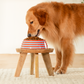 HUFT Happy Stripes Printed Melamine Bowl With Steel Insert For Dog - Blue & Orange - Heads Up For Tails