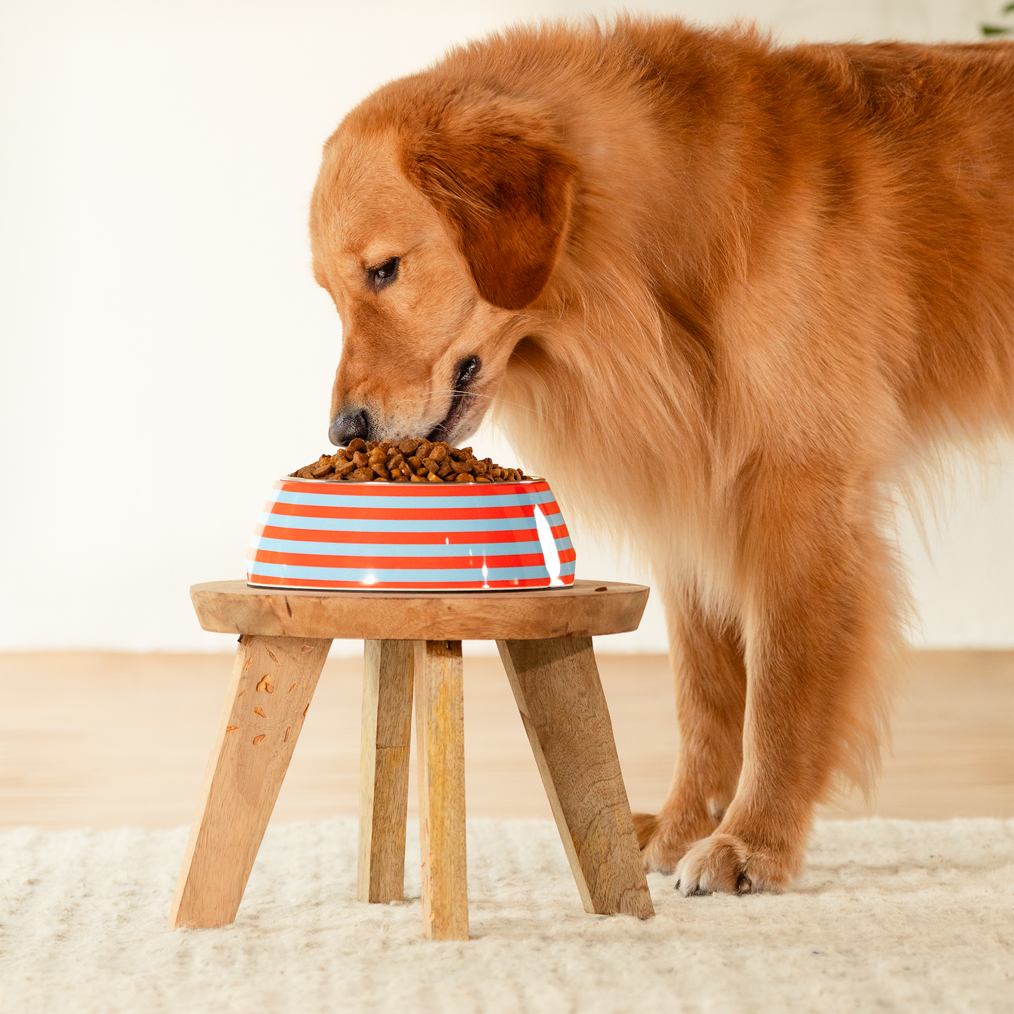 HUFT Happy Stripes Printed Melamine Bowl With Steel Insert For Dog - Blue & Orange - Heads Up For Tails