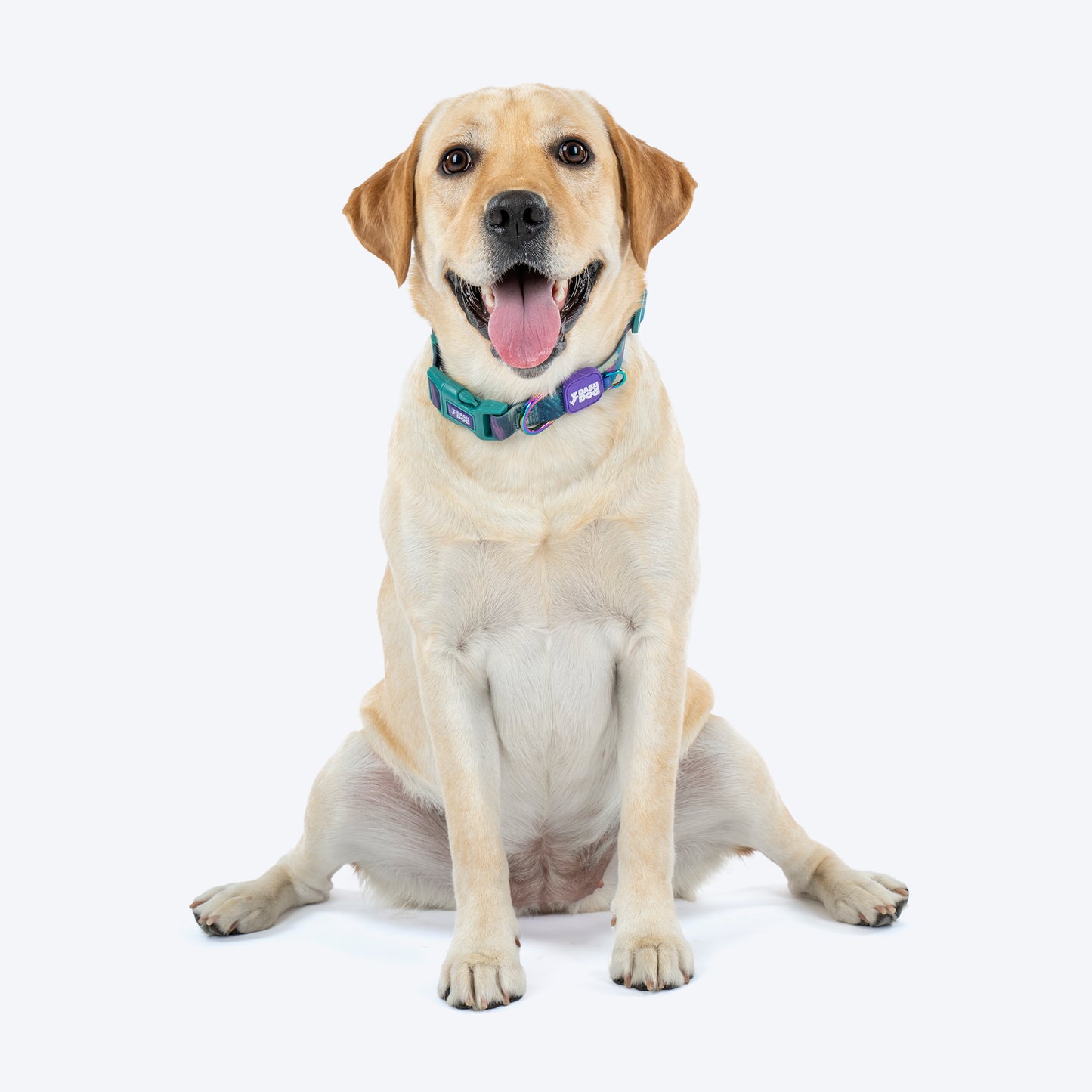 Dash Dog Wild Ridge Waterproof Dog Collar & Leash Set - Green