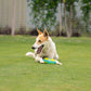 Dash Dog Grab & Gnaw Squeaky Toy For Dog - Neon Green & Blue