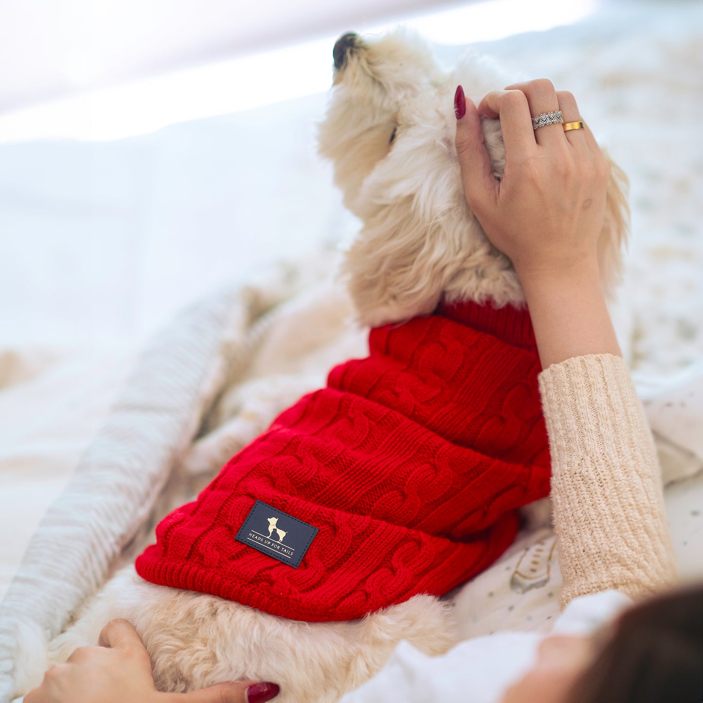 HUFT Cable Knit Sweater For Dog - Red - Heads Up For Tails