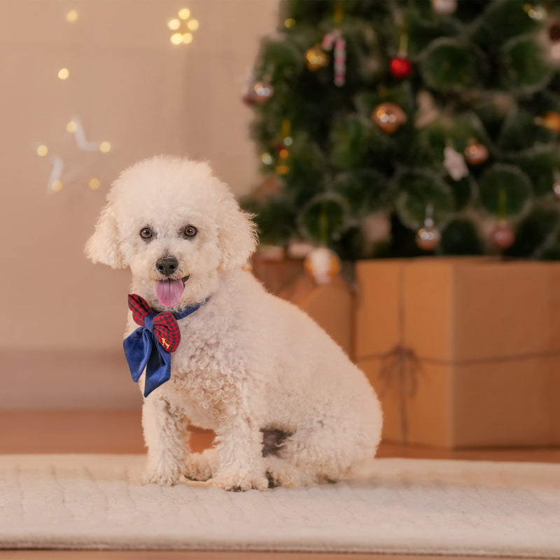 HUFT Jingle Joy Bow Tie For Dog - Red & Navy - Heads Up For Tails
