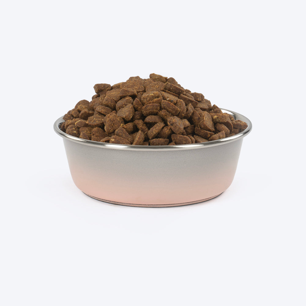 HUFT Tiny Tails Printed Steel Bowl For Puppy - Pink & Grey