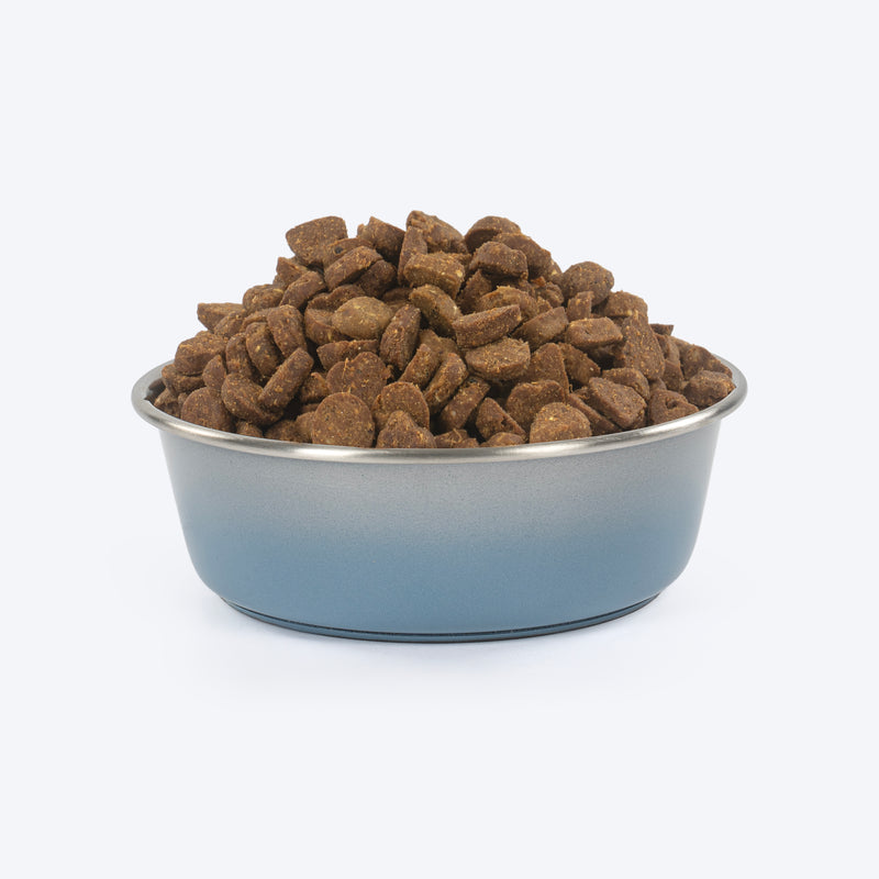 HUFT Tiny Tails Printed Steel Bowl For Puppy - Blue & Grey - Heads Up For Tails