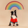 HUFT Woof Squad Sweatshirt For Dog - Red - Heads Up For Tails