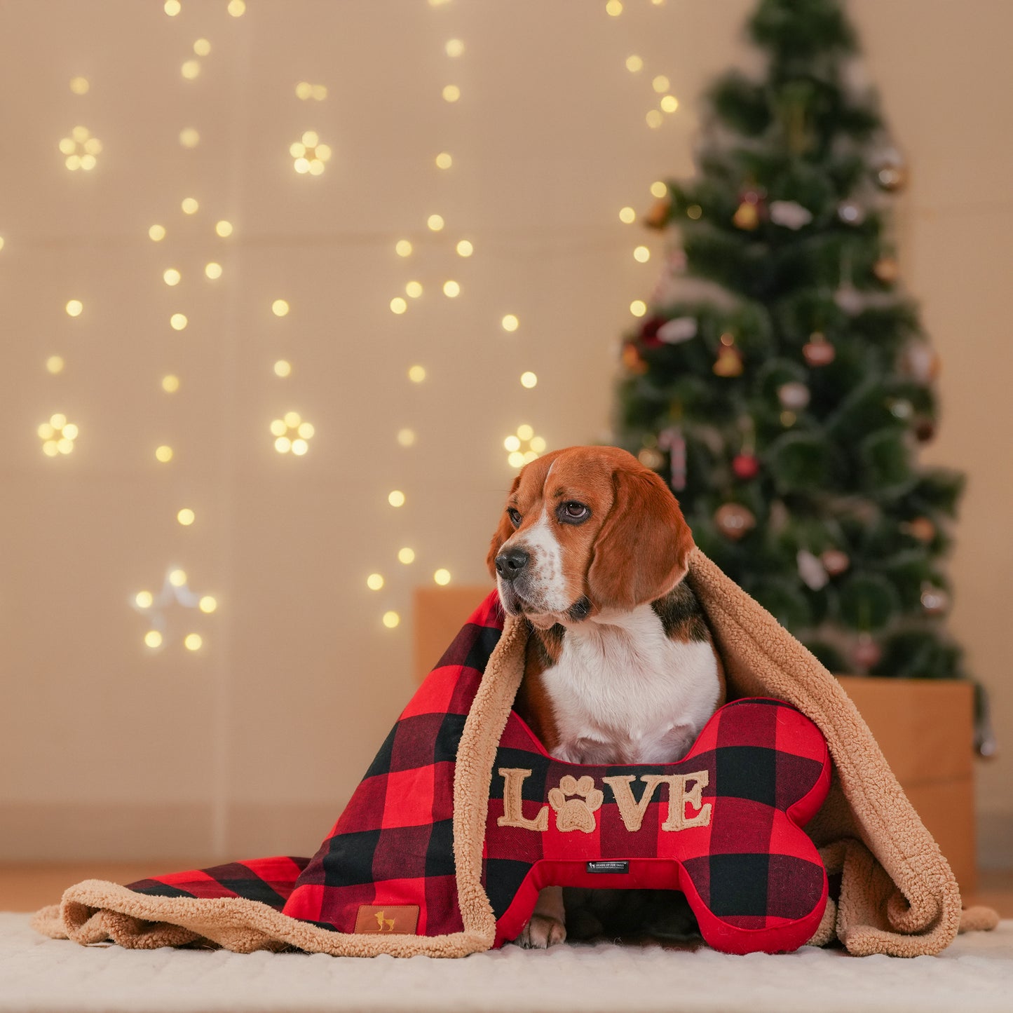 HUFT Personalised Checkered Cuddle Bone Cushion For Dog - Red & Black