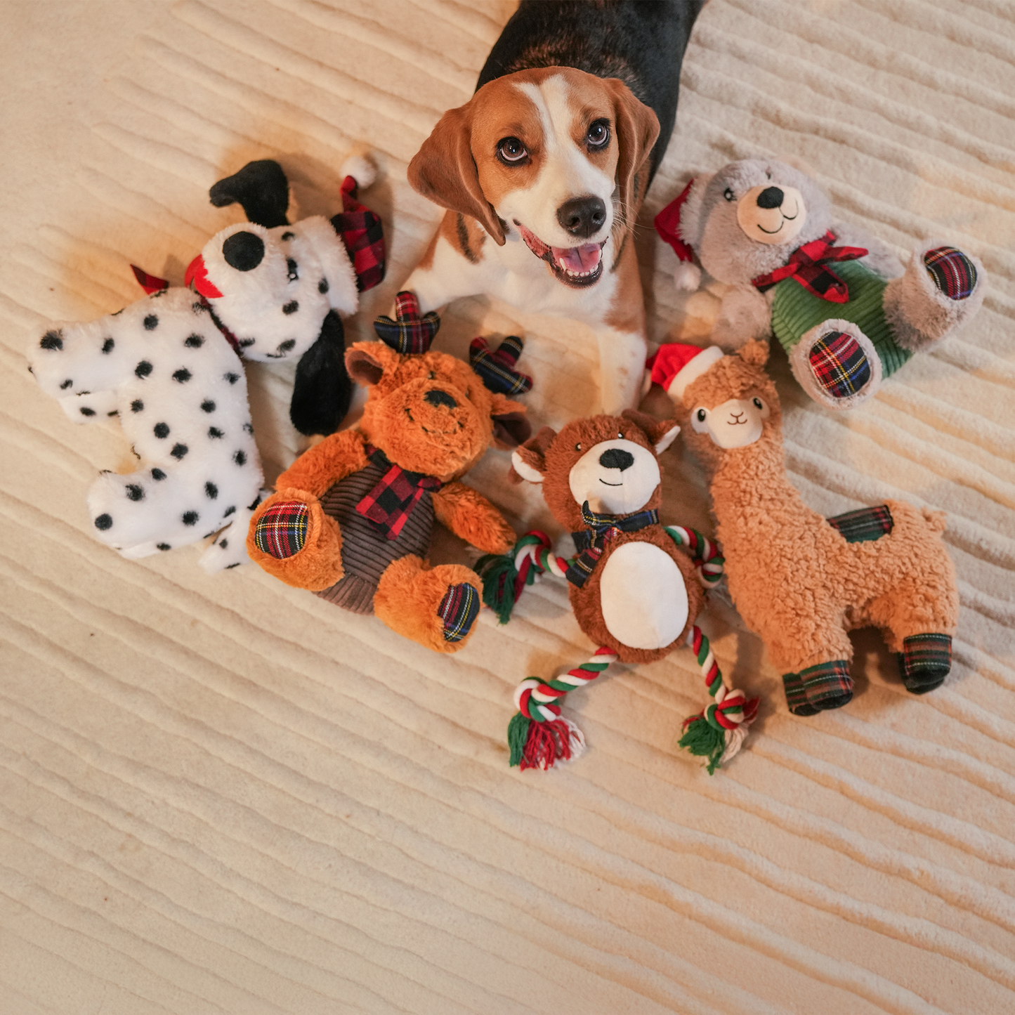 HUFT Beary Merry Plush Toy For Dog - White & Green