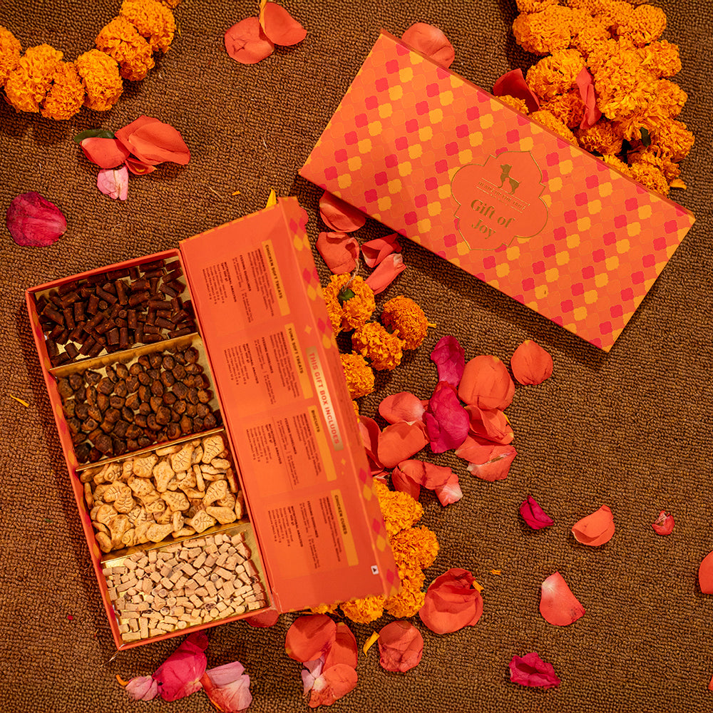 HUFT Gift Of Joy Diwali Treat Box For Cat