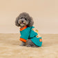 HUFT Sunny Bear Sweatshirt For Small Dog - Green - Heads Up For Tails