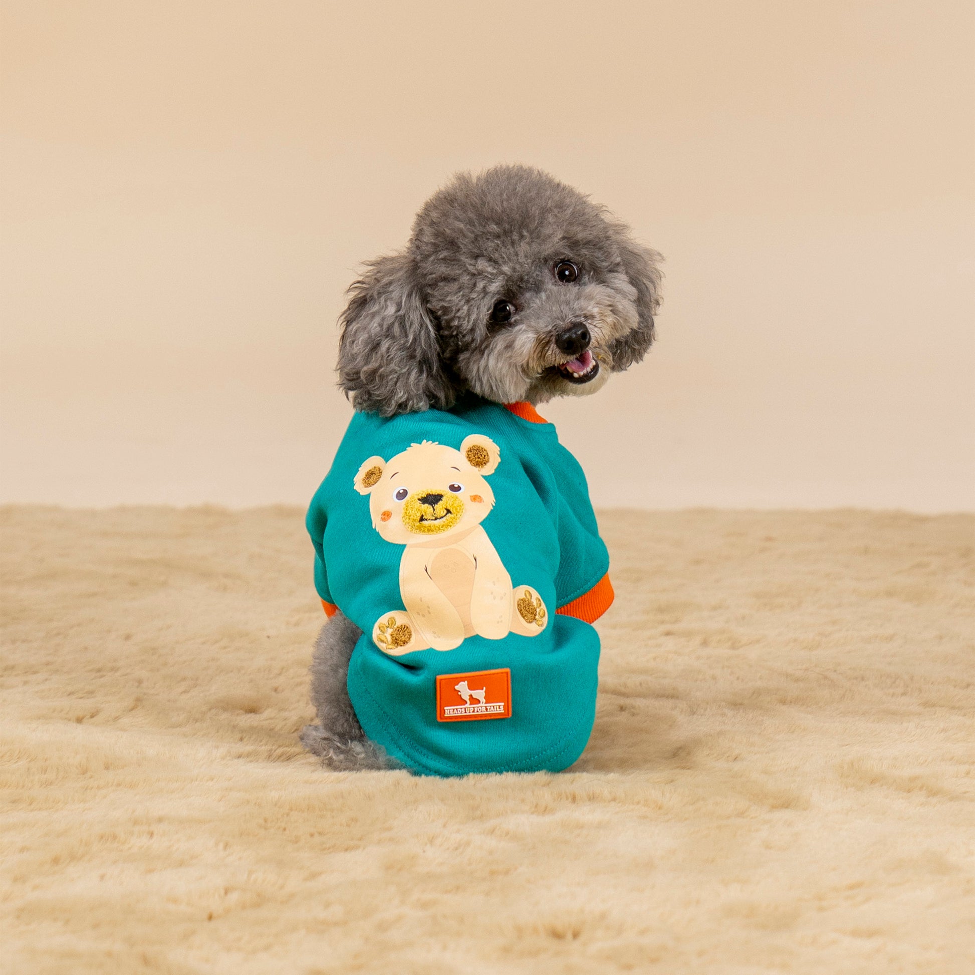 HUFT Sunny Bear Sweatshirt For Small Dog - Green - Heads Up For Tails