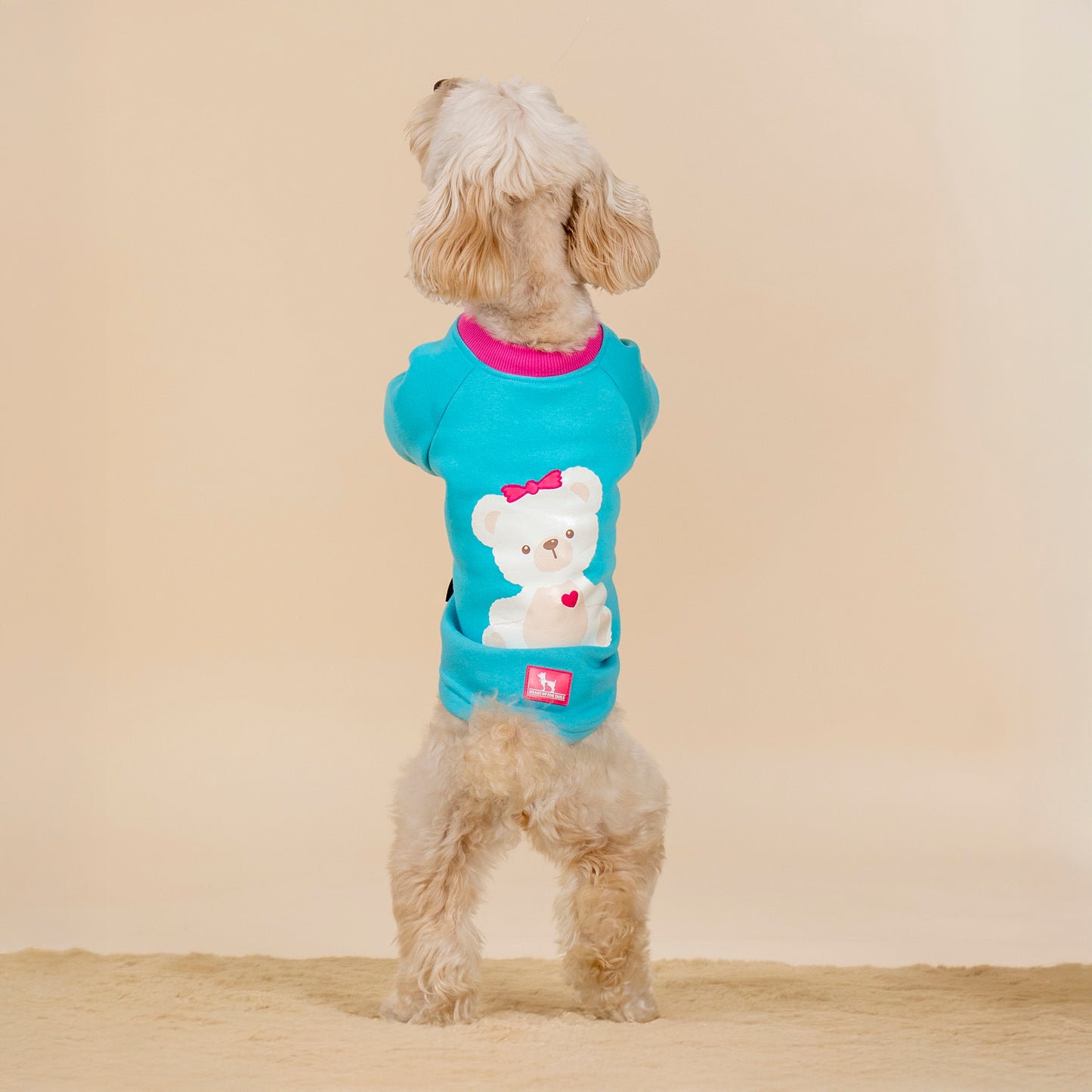 HUFT Happy Teddy Sweatshirt For Small Dog - Turquoise Blue - Heads Up For Tails