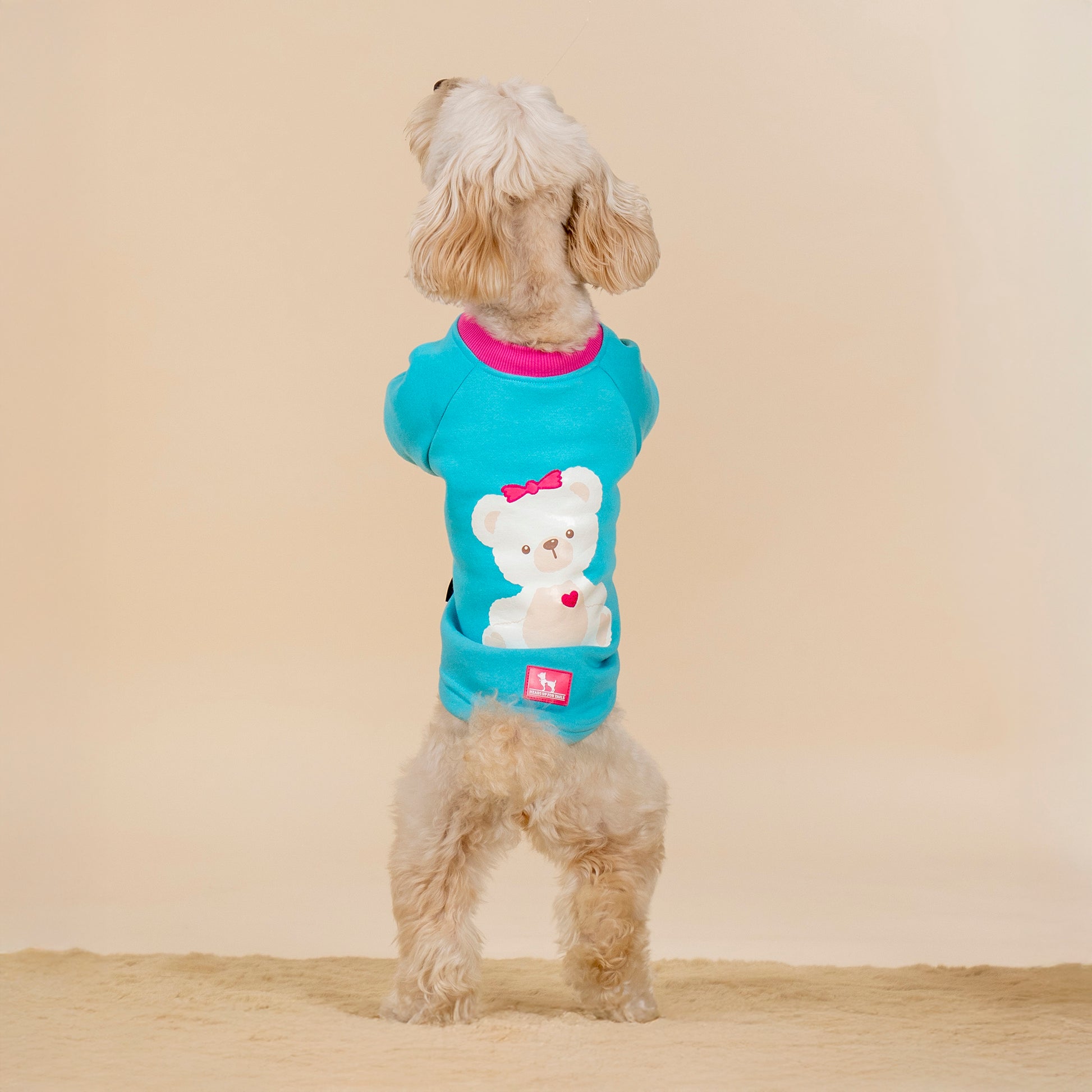 HUFT Happy Teddy Sweatshirt For Small Dog - Turquoise Blue - Heads Up For Tails