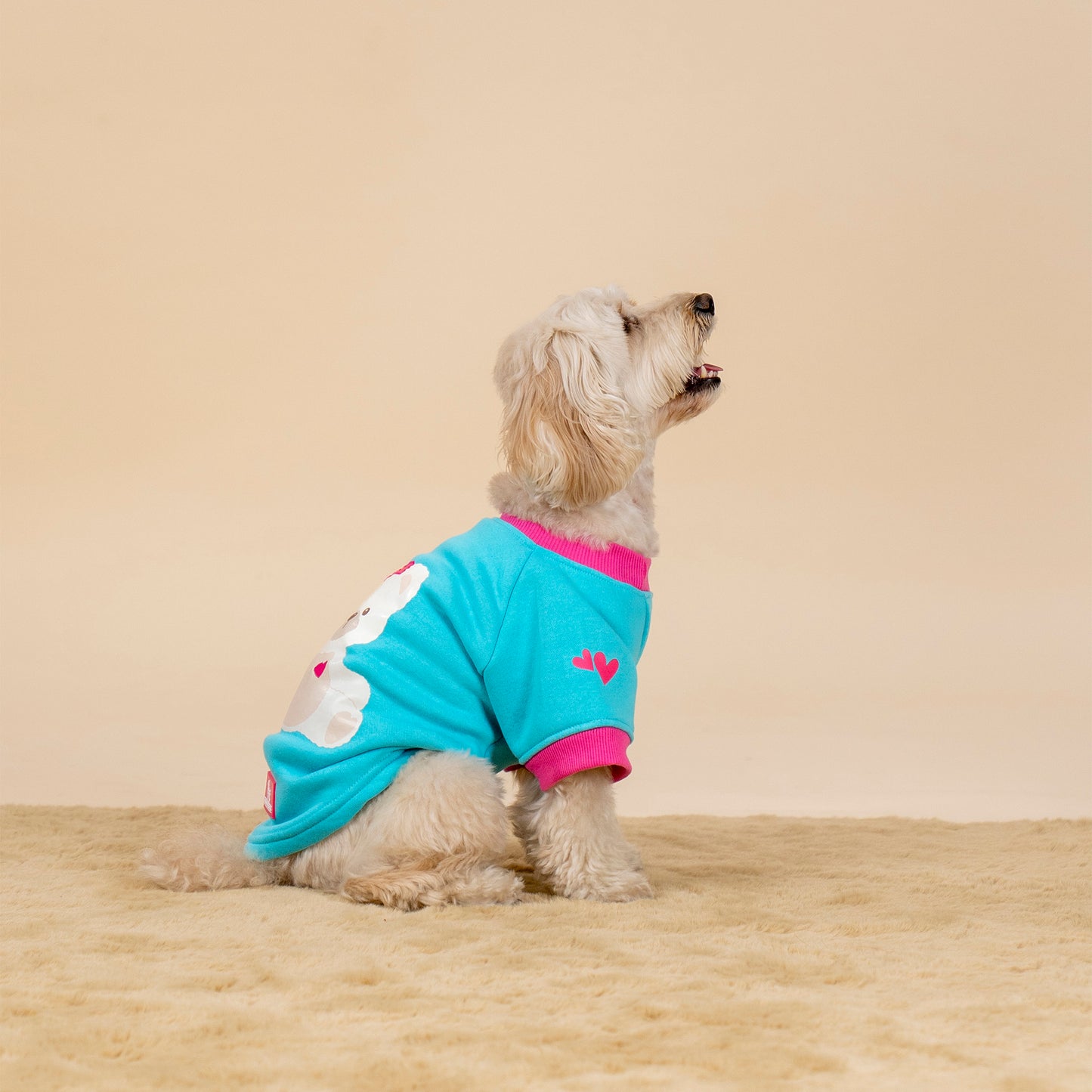 HUFT Happy Teddy Sweatshirt For Small Dog - Turquoise Blue - Heads Up For Tails