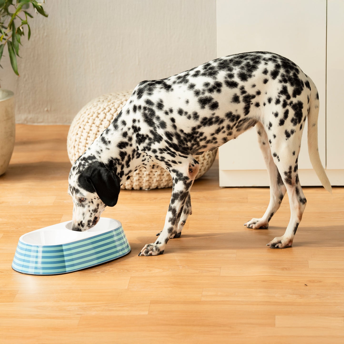HUFT Happy Stripes Printed Melamine Double Diner For Dog - Blue & Turquoise - Heads Up For Tails