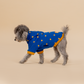 HUFT Honey Hearts Sweatshirt With Hood For Dog - Blue - Heads Up For Tails