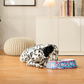 HUFT Summer Bloom Printed Melamine Double Diner For Dog - Blue - Heads Up For Tails
