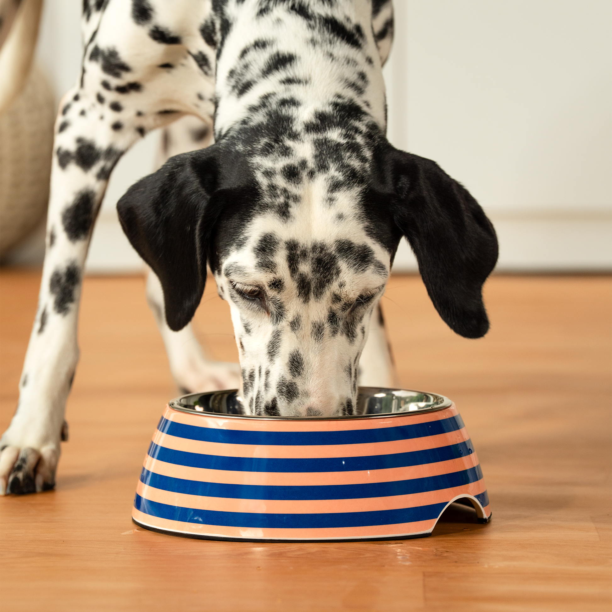 HUFT Happy Stripes Printed Melamine Bowl With Steel Insert For Dog - Blue & Peach - Heads Up For Tails